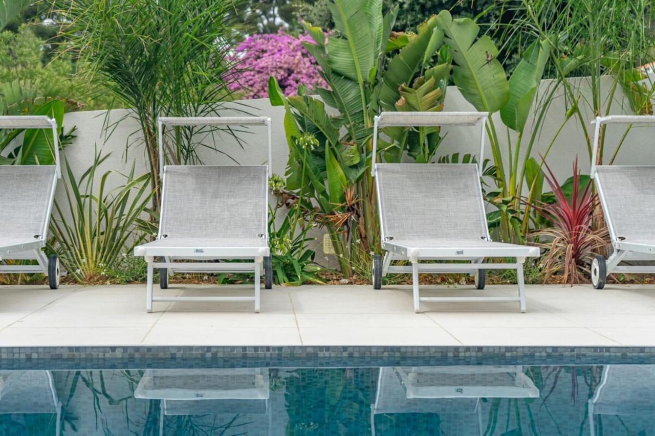Giovannina N5 Cassis Ngoại thất bức ảnh